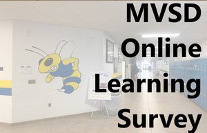 MVSD Online Learning Survey